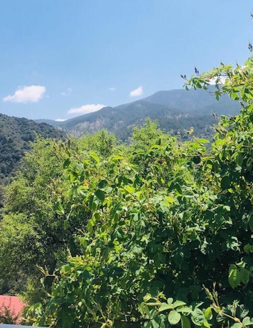 Galaria House Villa Moutoullas Bagian luar foto